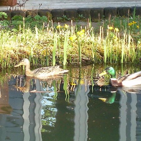 Ferienwohnung Im Gartenparadies Eurasburg Luaran gambar