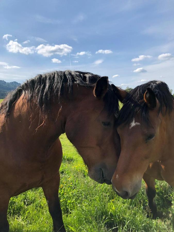 Ferienwohnung Im Gartenparadies Eurasburg Luaran gambar