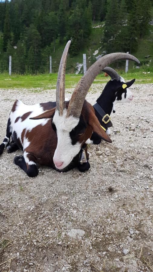 Ferienwohnung Im Gartenparadies Eurasburg Luaran gambar